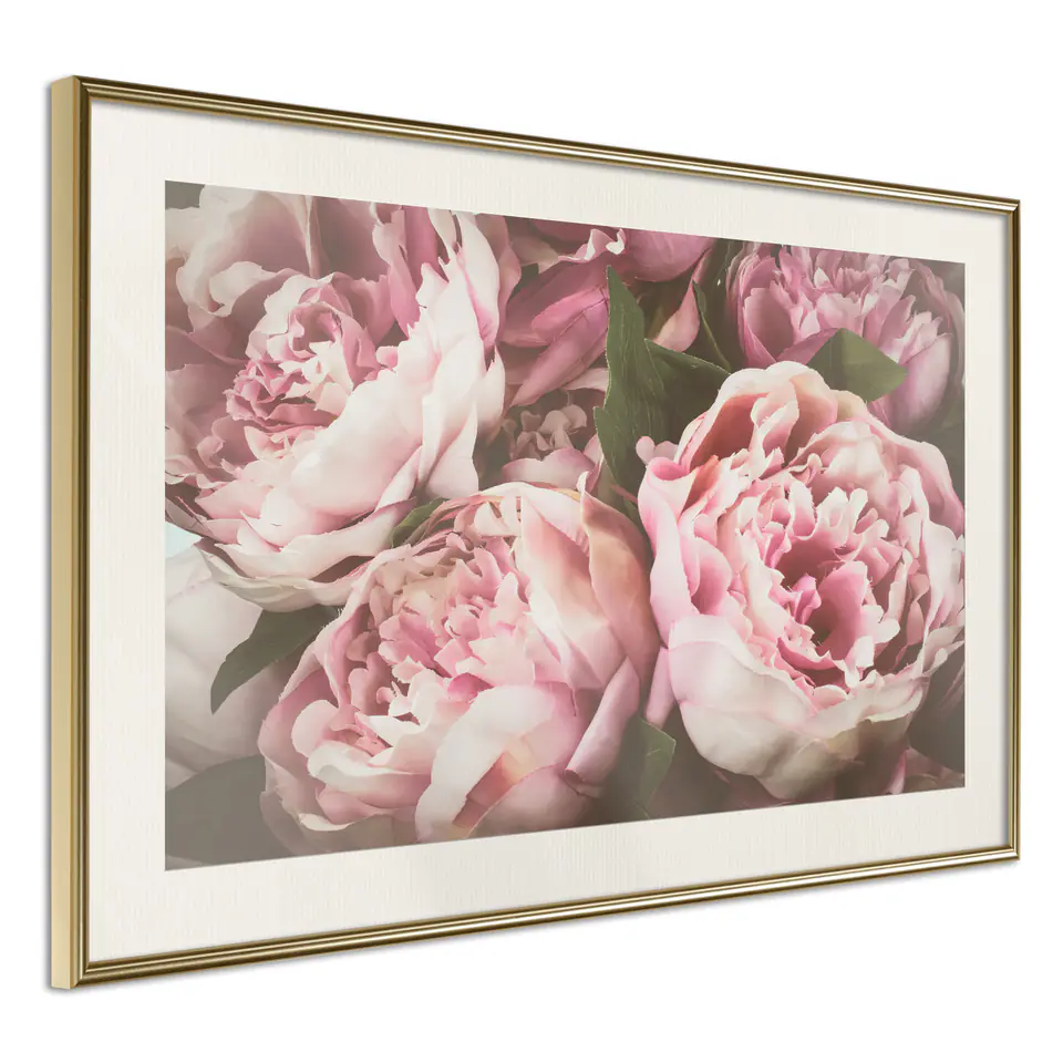 ⁨Poster - Pastel peonies (size 60x40, finish Gold frame with passe-partout)⁩ at Wasserman.eu