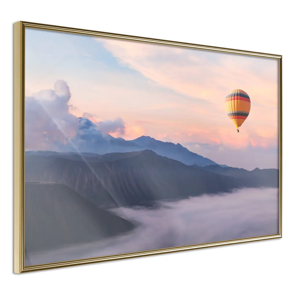 ⁨Poster - Freedom (size 30x20, finish Gold frame)⁩ at Wasserman.eu