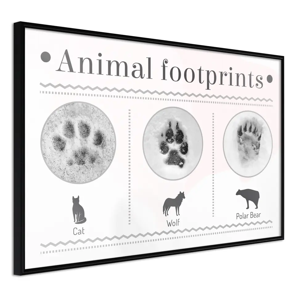 ⁨Poster - How to recognize an animal (size 60x40, finish Frame black)⁩ at Wasserman.eu