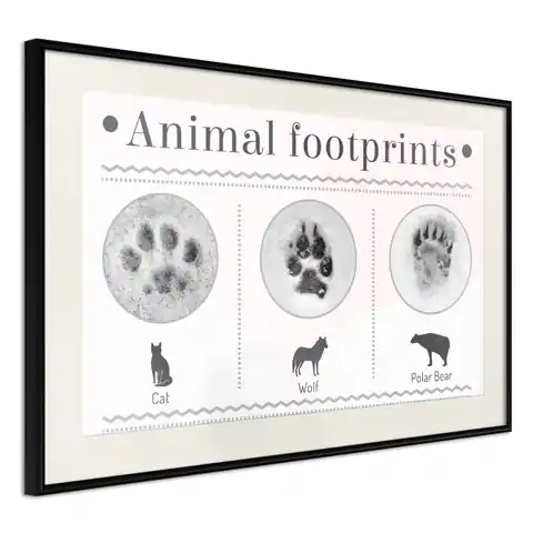 ⁨Poster - How to recognize an animal (size 30x20, finish Black frame with passe-partout)⁩ at Wasserman.eu