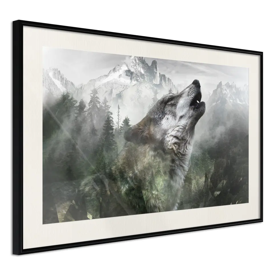 ⁨Poster - Wolf's territory (size 30x20, finish Black frame with passe-partout)⁩ at Wasserman.eu