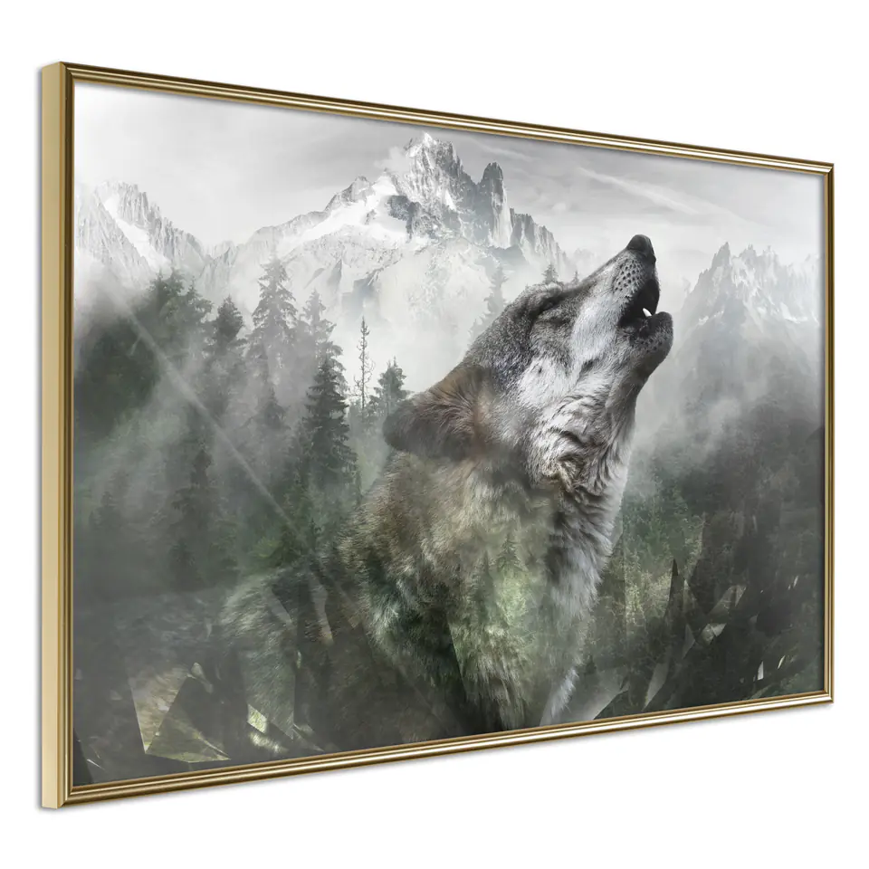 ⁨Poster - Wolf Territory (size 30x20, Gold Frame finish)⁩ at Wasserman.eu