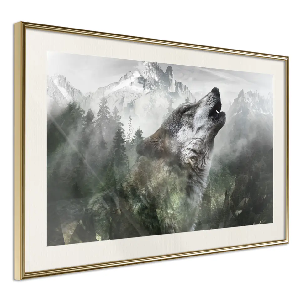 ⁨Poster - Wolf territory (size 45x30, finish Gold frame with passe-partout)⁩ at Wasserman.eu