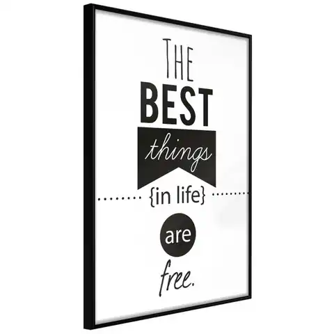 ⁨Plakat - The best things in life are free [Poster] (rozmiar 20x30, wykończenie Rama czarna)⁩ w sklepie Wasserman.eu