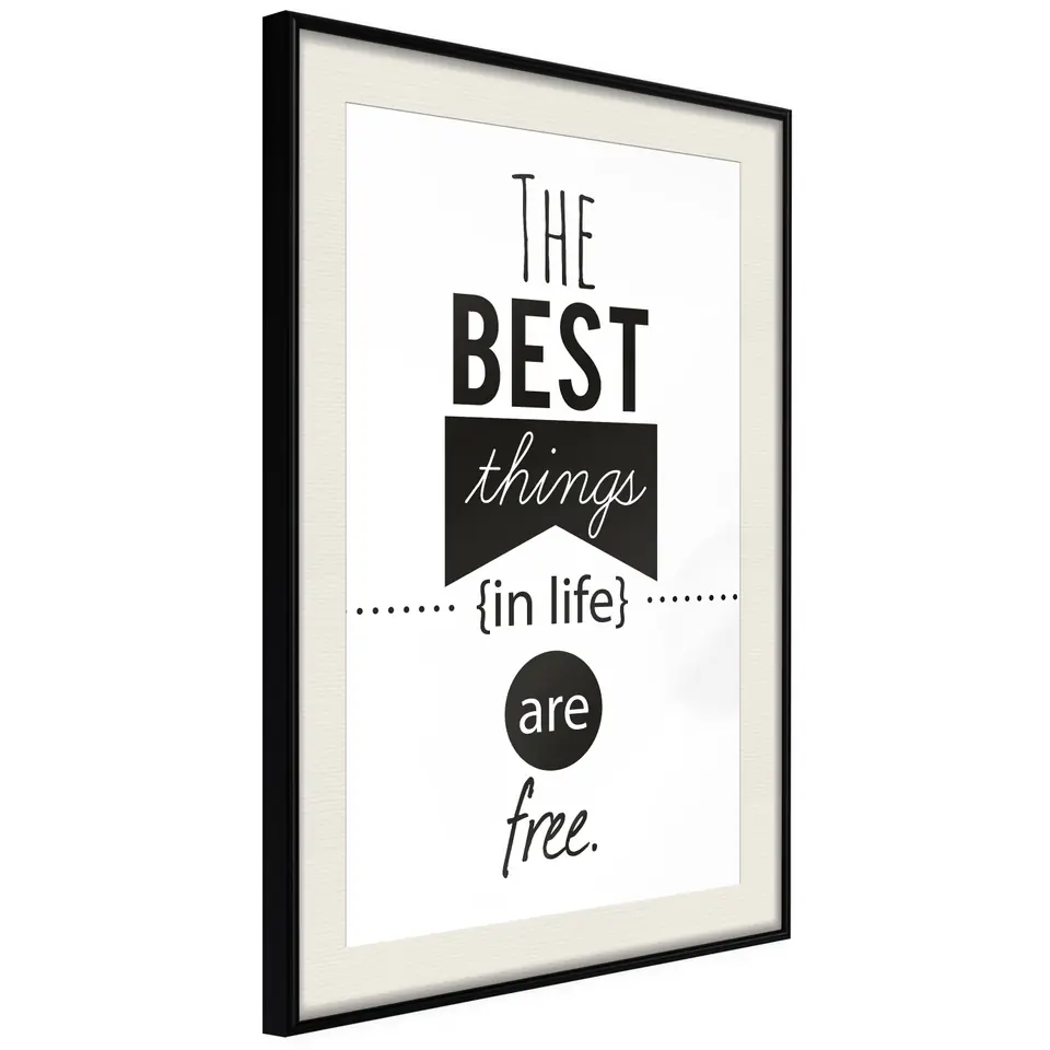 ⁨Plakat - The best things in life are free [Poster] (rozmiar 20x30, wykończenie Rama czarna z passe-partout)⁩ w sklepie Wasserman.eu