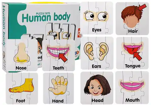 ⁨Educational Puzzle Body Parts Jigsaw Puzzle 10 connections English⁩ at Wasserman.eu