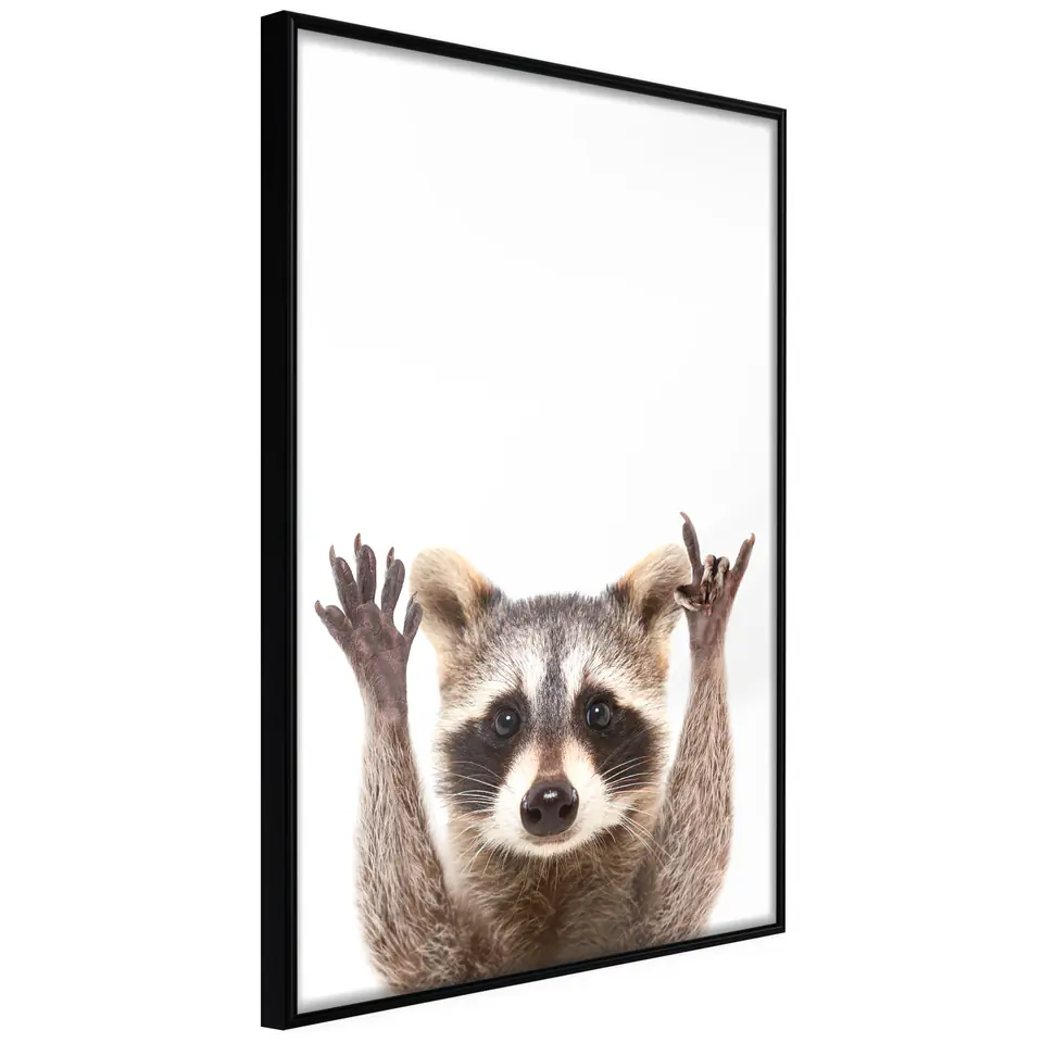 ⁨Poster - Funny raccoon (size 20x30, finish Frame black)⁩ at Wasserman.eu