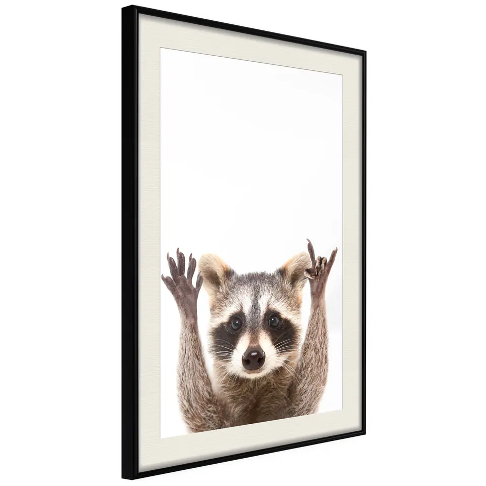 ⁨Poster - Funny raccoon (size 20x30, finish Black frame with passe-partout)⁩ at Wasserman.eu