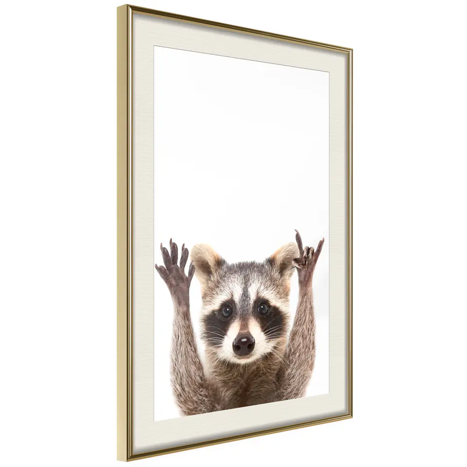 ⁨Poster - Funny raccoon (size 20x30, finish Gold frame with passe-partout)⁩ at Wasserman.eu