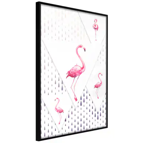 ⁨Plakat - Rodzina flamingów [Poster]⁩ w sklepie Wasserman.eu