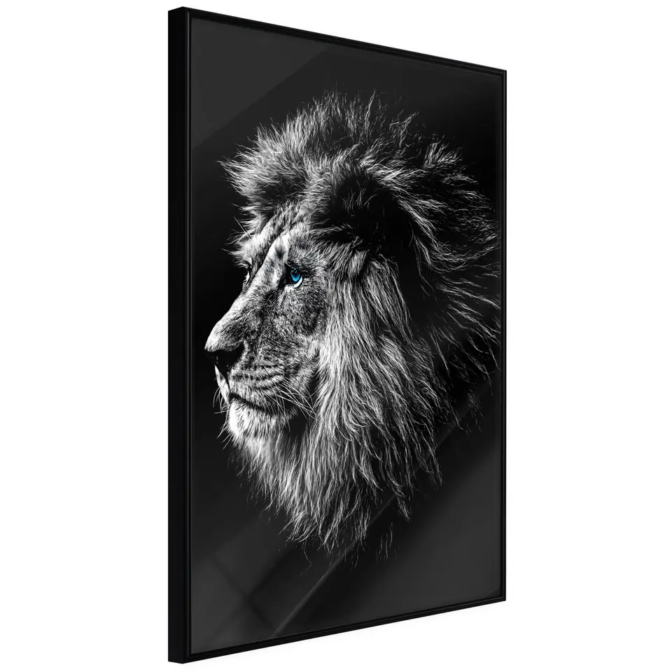 ⁨Poster - Old King (size 20x30, finish Frame black)⁩ at Wasserman.eu