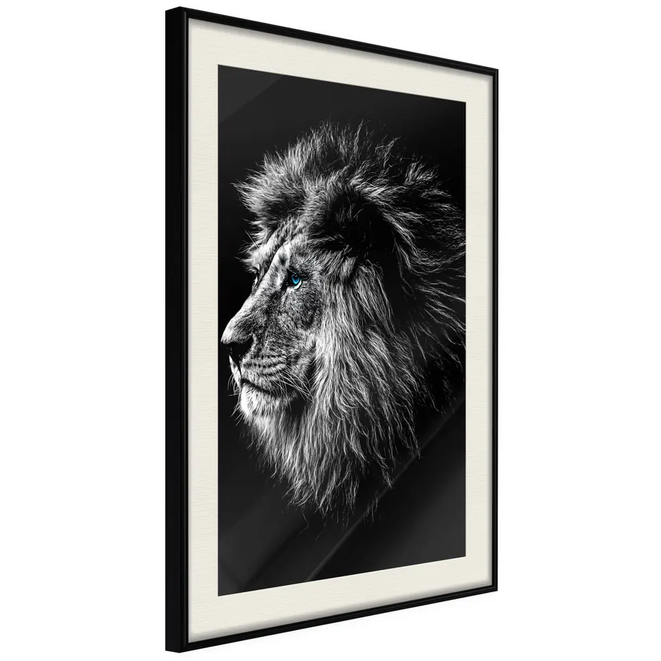 ⁨Poster - Old King (size 20x30, finish Black frame with passe-partout)⁩ at Wasserman.eu