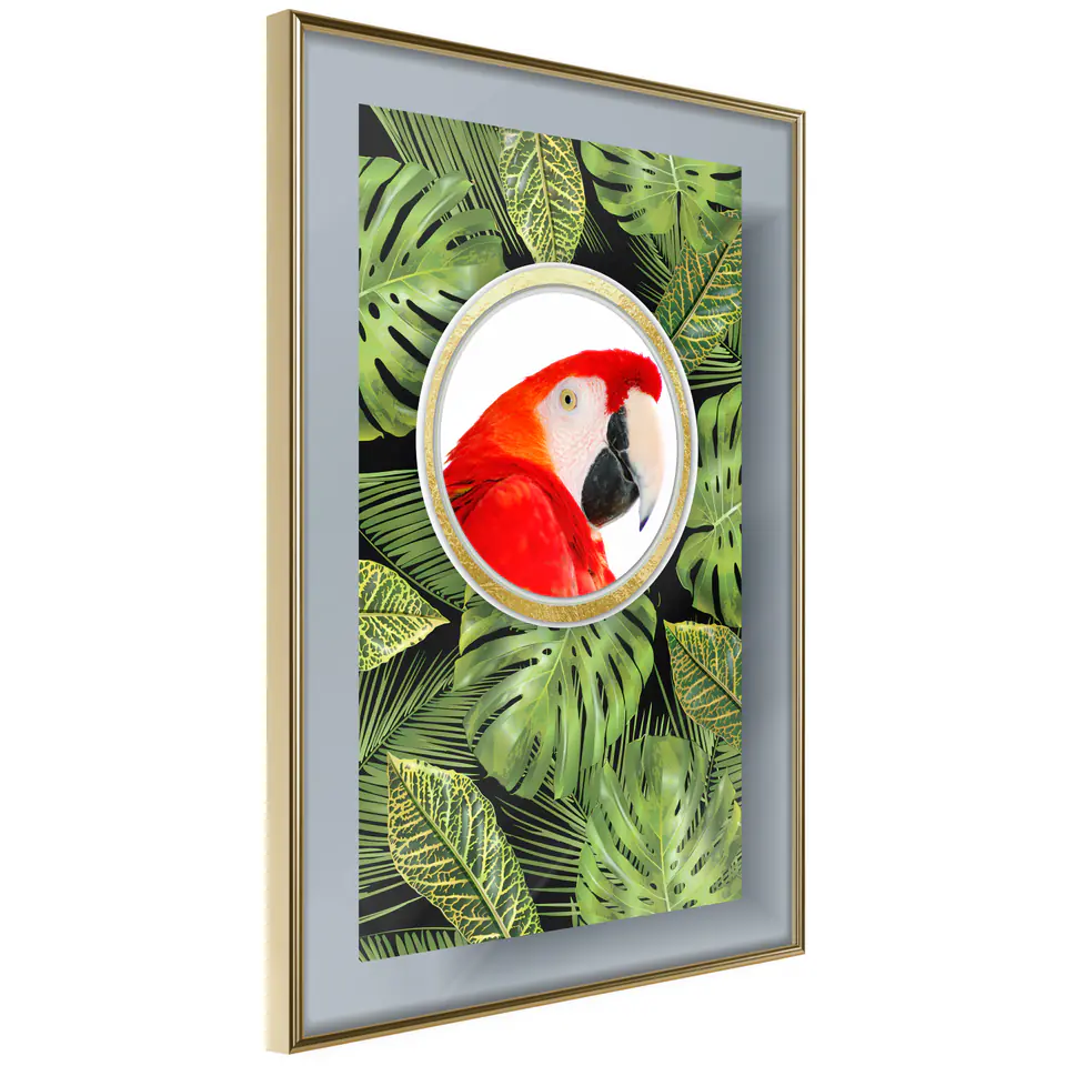 ⁨Plakat - Papuga w dżungli [Poster] (rozmiar 20x30, wykończenie Rama złota)⁩ w sklepie Wasserman.eu