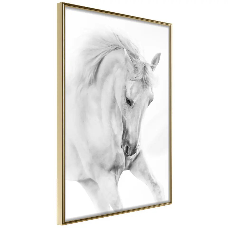 ⁨Poster - Beauty in motion (size 20x30, finish Gold frame)⁩ at Wasserman.eu