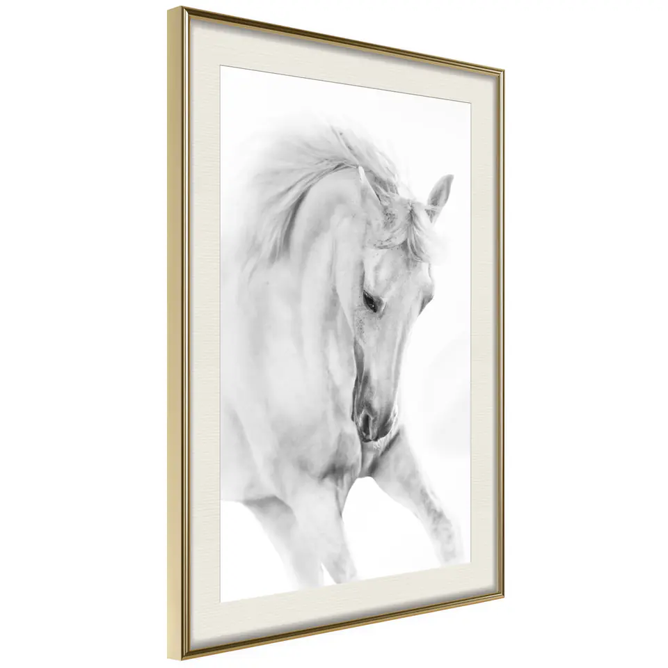 ⁨Poster - Beauty in motion (size 40x60, finish Gold frame with passe-partout)⁩ at Wasserman.eu