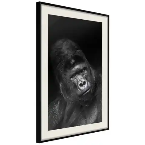 ⁨Poster - Smart look (size 30x45, finish Black frame with passe-partout)⁩ at Wasserman.eu