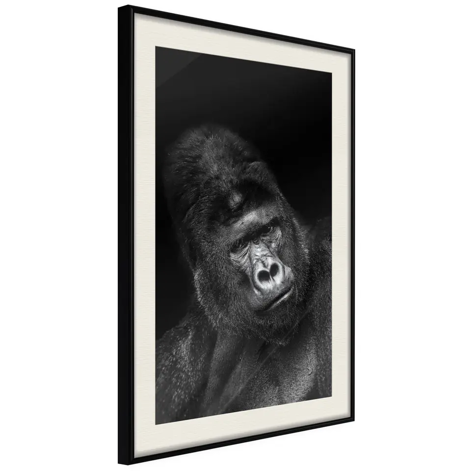 ⁨Plakat - Goryl [Poster] (rozmiar 20x30, wykończenie Rama czarna z passe-partout)⁩ w sklepie Wasserman.eu