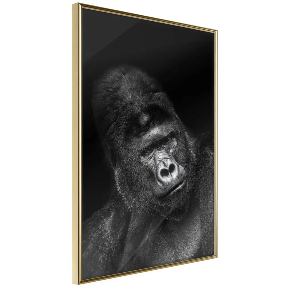 ⁨Plakat - Goryl [Poster] (rozmiar 40x60, wykończenie Rama złota)⁩ w sklepie Wasserman.eu