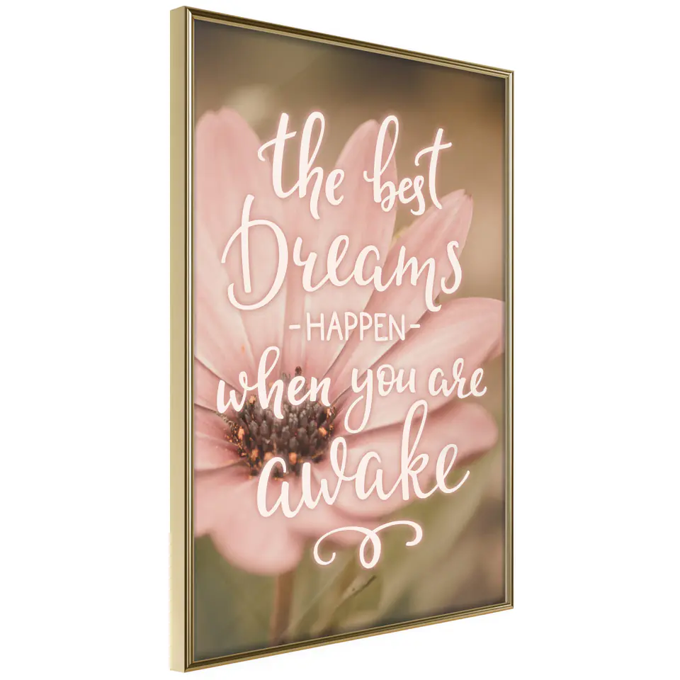 ⁨Poster - Best dreams (size 20x30, gold frame finish)⁩ at Wasserman.eu