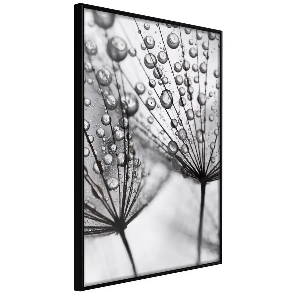 ⁨Poster - Rosa in macro scale (size 20x30, finish Frame black)⁩ at Wasserman.eu