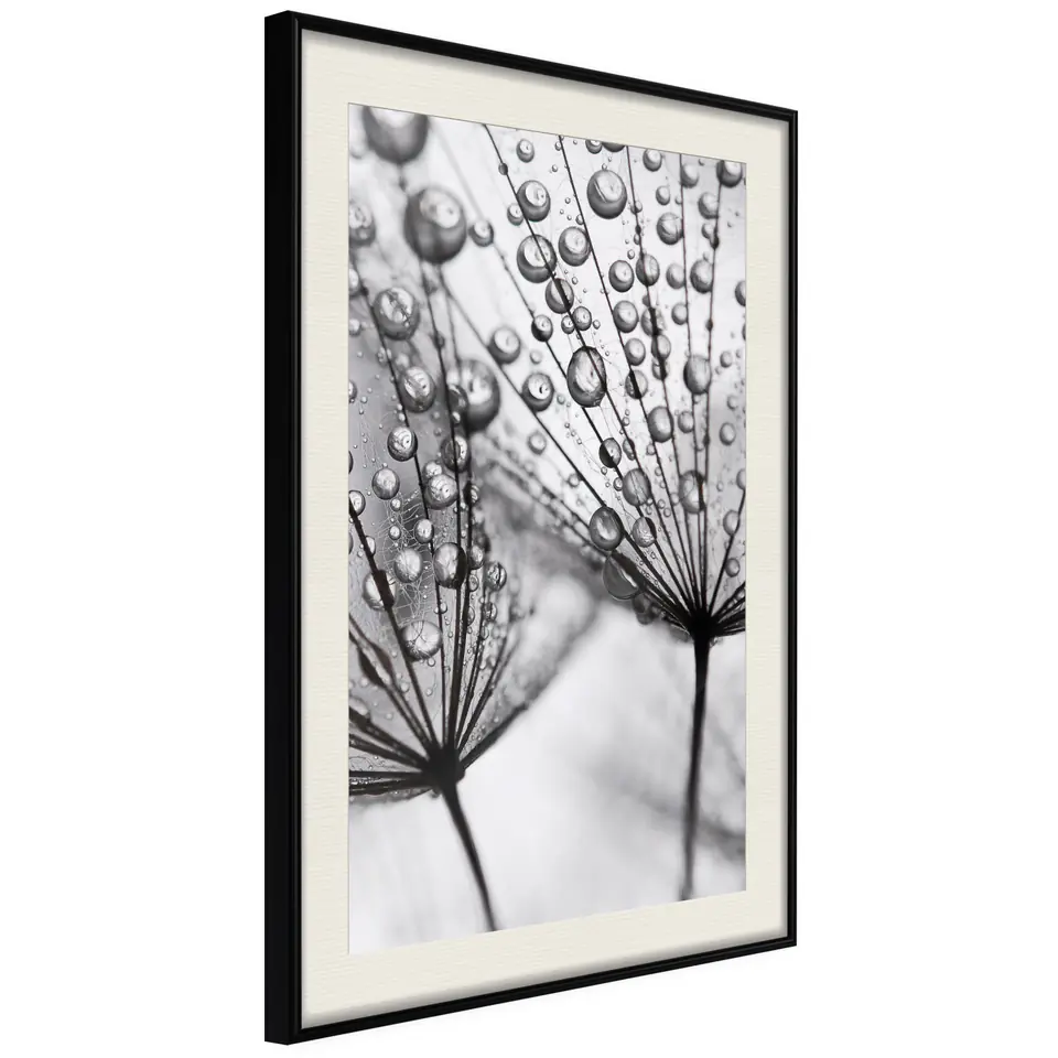 ⁨Plakat - Rosa w skali makro (rozmiar 30x45, wykończenie Rama czarna z passe-partout)⁩ w sklepie Wasserman.eu