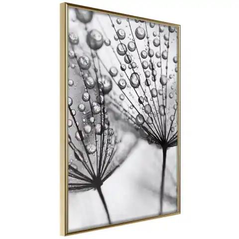 ⁨Poster - Rosa in macro scale (size 30x45, finish Gold frame)⁩ at Wasserman.eu