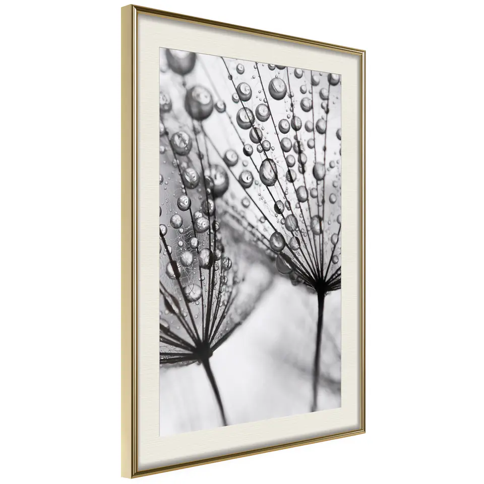 ⁨Plakat - Rosa w skali makro (rozmiar 30x45, wykończenie Rama złota z passe-partout)⁩ w sklepie Wasserman.eu