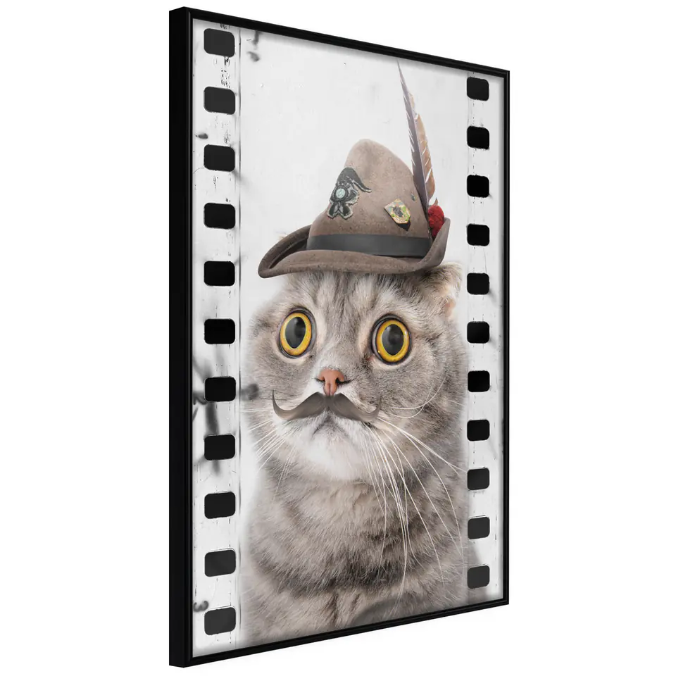 ⁨Poster - Disguised cat (size 30x45, finish Frame black)⁩ at Wasserman.eu