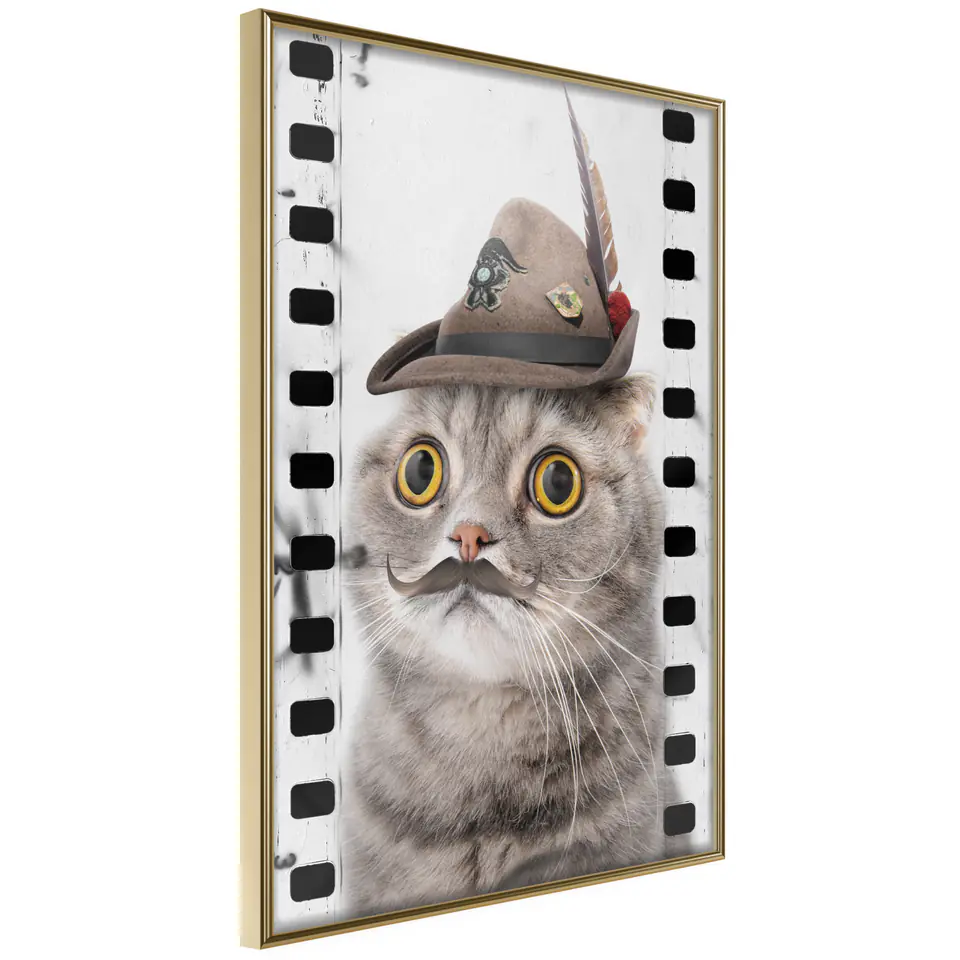 ⁨Poster - Disguised cat (size 20x30, finish Gold frame)⁩ at Wasserman.eu