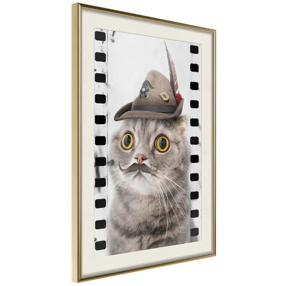 ⁨Poster - Disguised cat (size 20x30, finish Gold frame with passe-partout)⁩ at Wasserman.eu