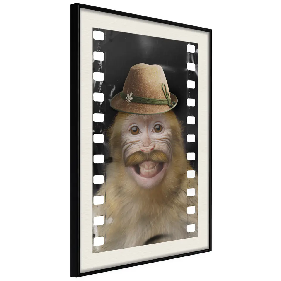 ⁨Poster - Disguised monkey (size 20x30, finish Black frame with passe-partout)⁩ at Wasserman.eu