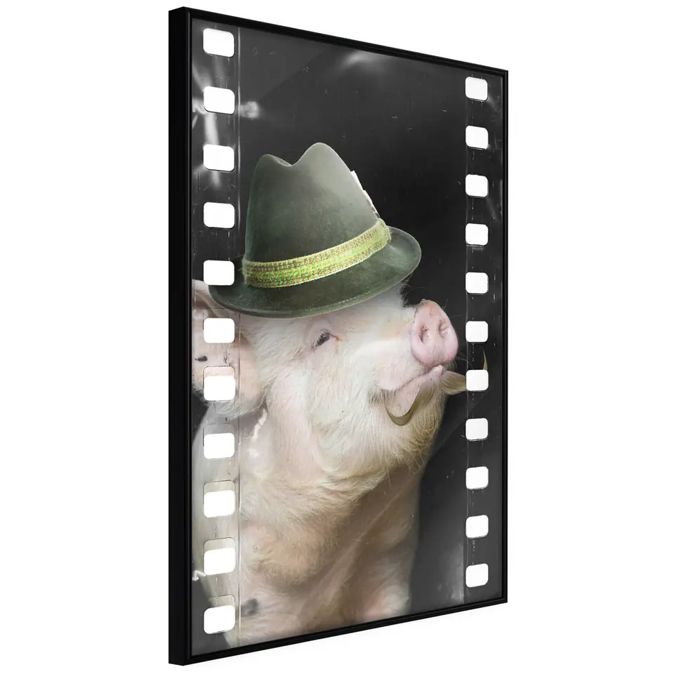 ⁨Poster - Disguised pig (size 20x30, finish Frame black)⁩ at Wasserman.eu