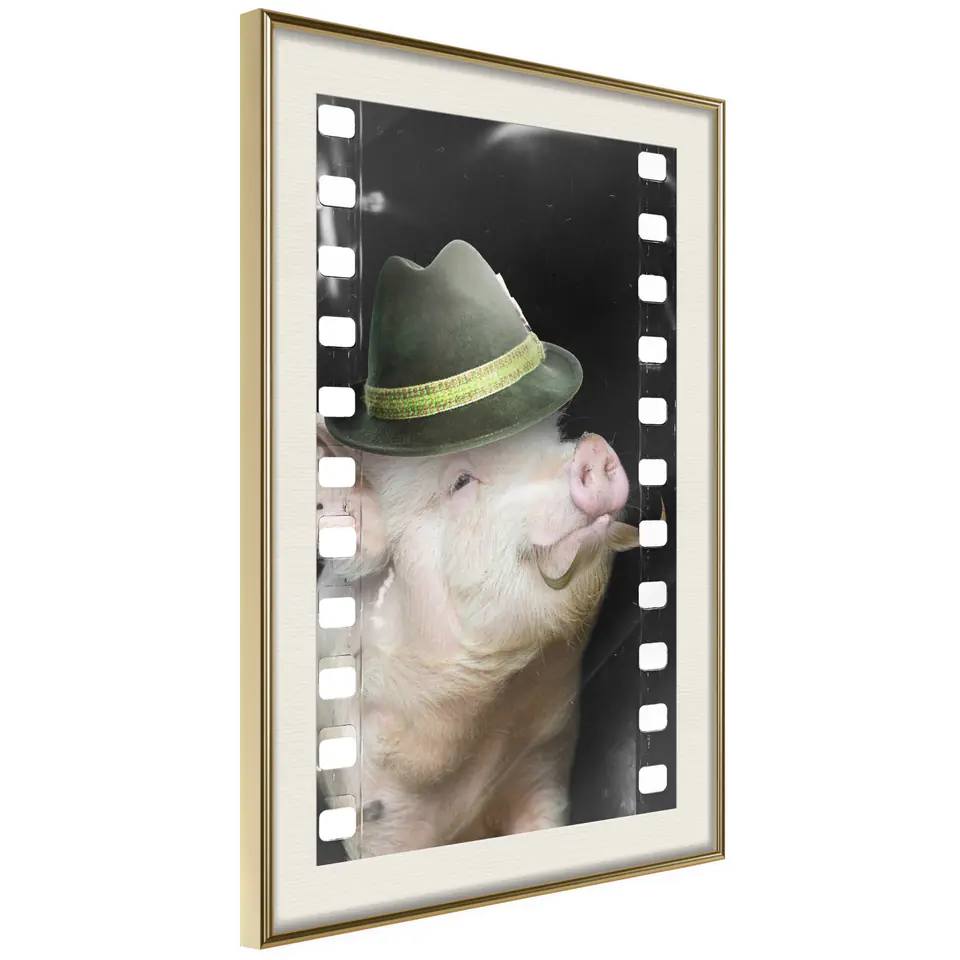 ⁨Plakat - Świnia z wąsami [Poster] (rozmiar 30x45, wykończenie Rama złota z passe-partout)⁩ w sklepie Wasserman.eu