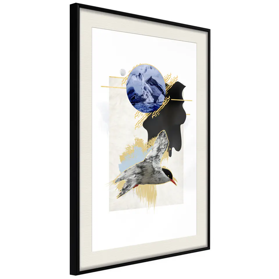 ⁨Plakat - Rybitwa antarktyczna [Poster] (rozmiar 40x60, wykończenie Rama czarna z passe-partout)⁩ w sklepie Wasserman.eu