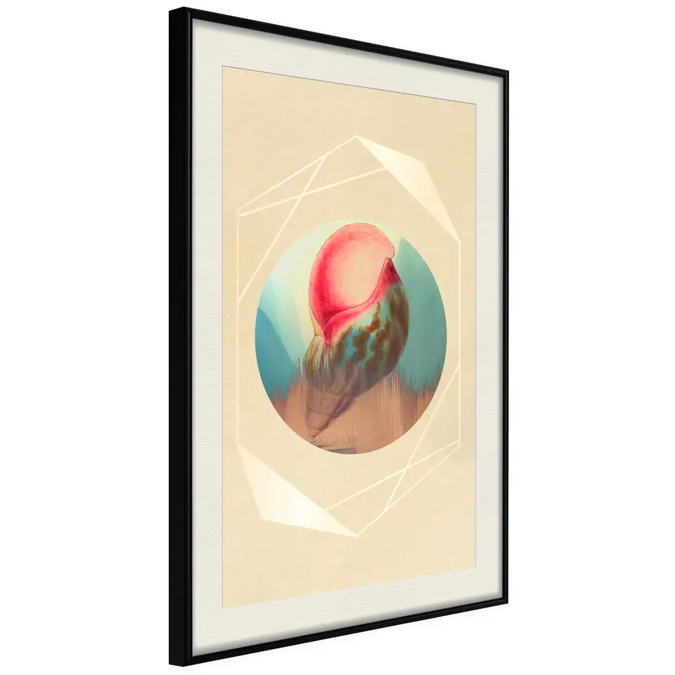 ⁨Plakat - Muszla [Poster] (rozmiar 30x45, wykończenie Rama czarna z passe-partout)⁩ w sklepie Wasserman.eu