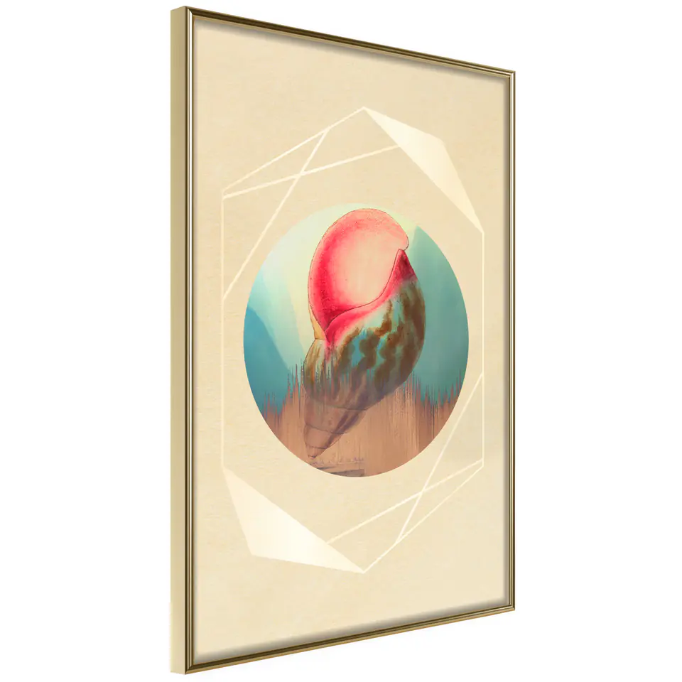 ⁨Plakat - Muszla [Poster] (rozmiar 20x30, wykończenie Rama złota)⁩ w sklepie Wasserman.eu
