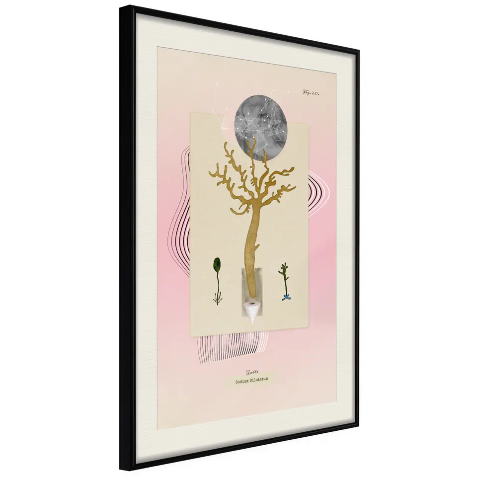 ⁨Poster - Water plant (size 20x30, finish Black frame with passe-partout)⁩ at Wasserman.eu
