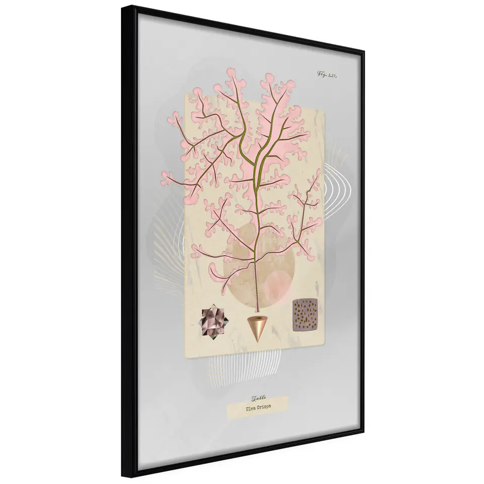 ⁨Poster - Seaweed (size 20x30, finish Frame black)⁩ at Wasserman.eu