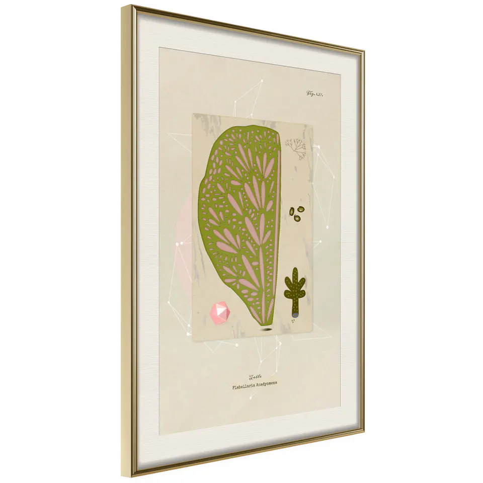 ⁨Poster - Leaf section (size 20x30, finish Gold frame with passe-partout)⁩ at Wasserman.eu