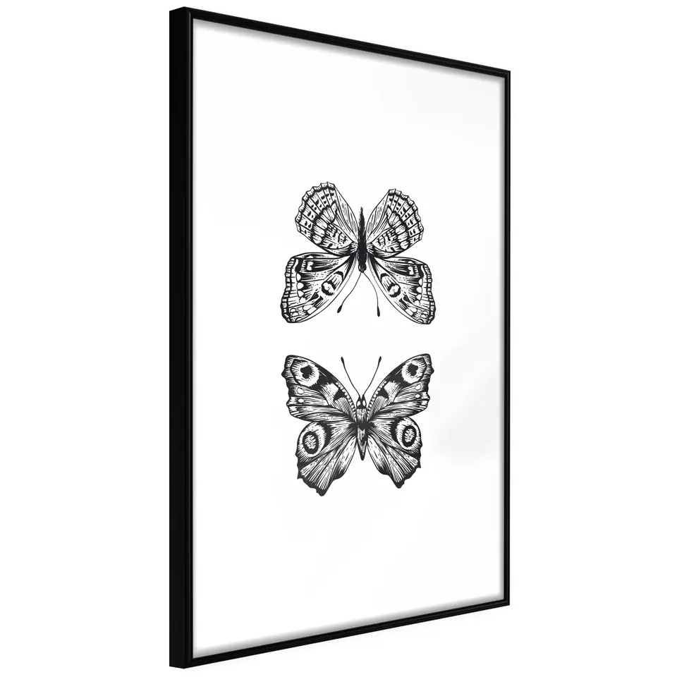 ⁨Poster - Butterfly Collection I (size 20x30, finish Frame black)⁩ at Wasserman.eu