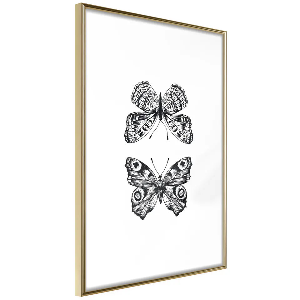 ⁨Poster - Butterfly Collection I (size 40x60, gold frame finish)⁩ at Wasserman.eu