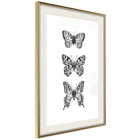 ⁨Plakat - Trzy motyle [Poster] (rozmiar 40x60, wykończenie Rama złota z passe-partout)⁩ w sklepie Wasserman.eu