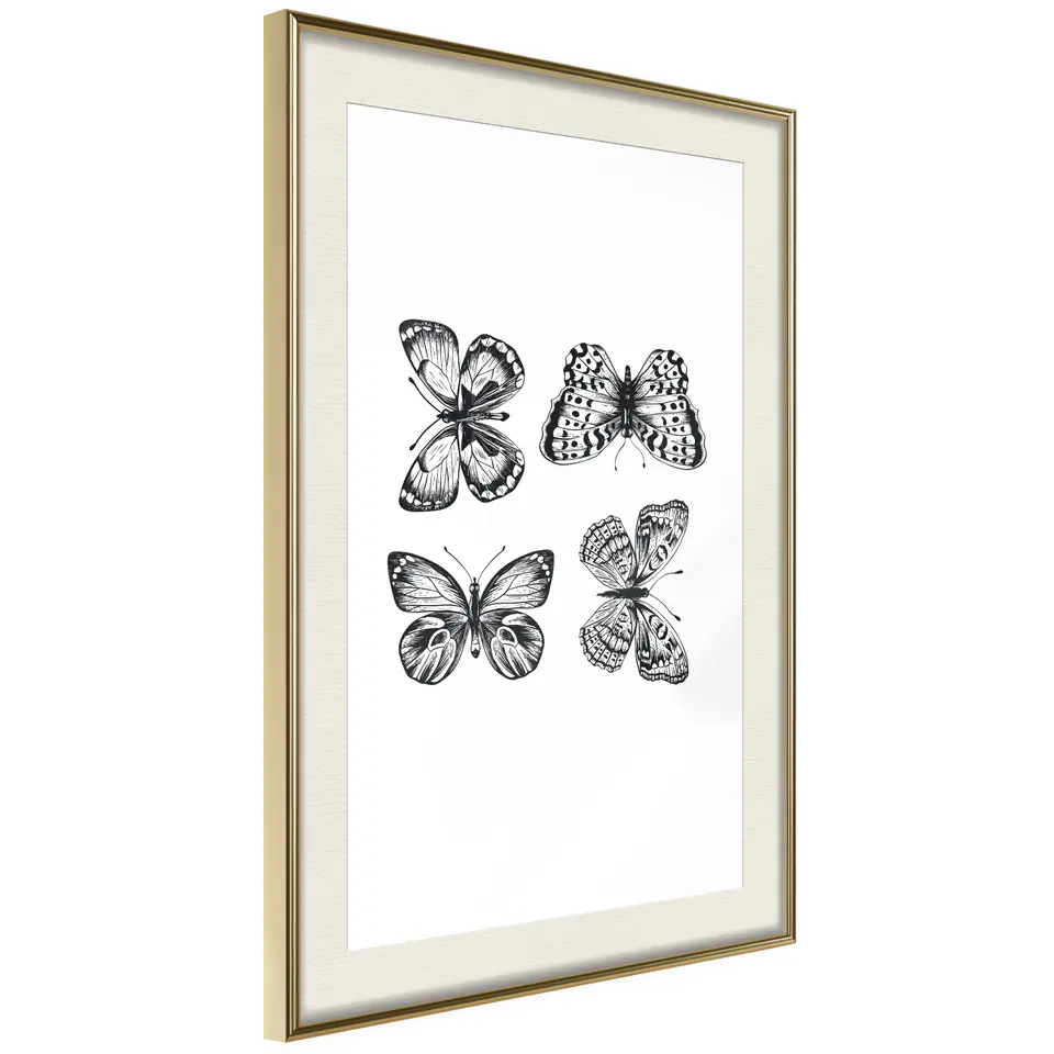⁨Plakat - Cztery motyle [Poster] (rozmiar 30x45, wykończenie Rama złota z passe-partout)⁩ w sklepie Wasserman.eu