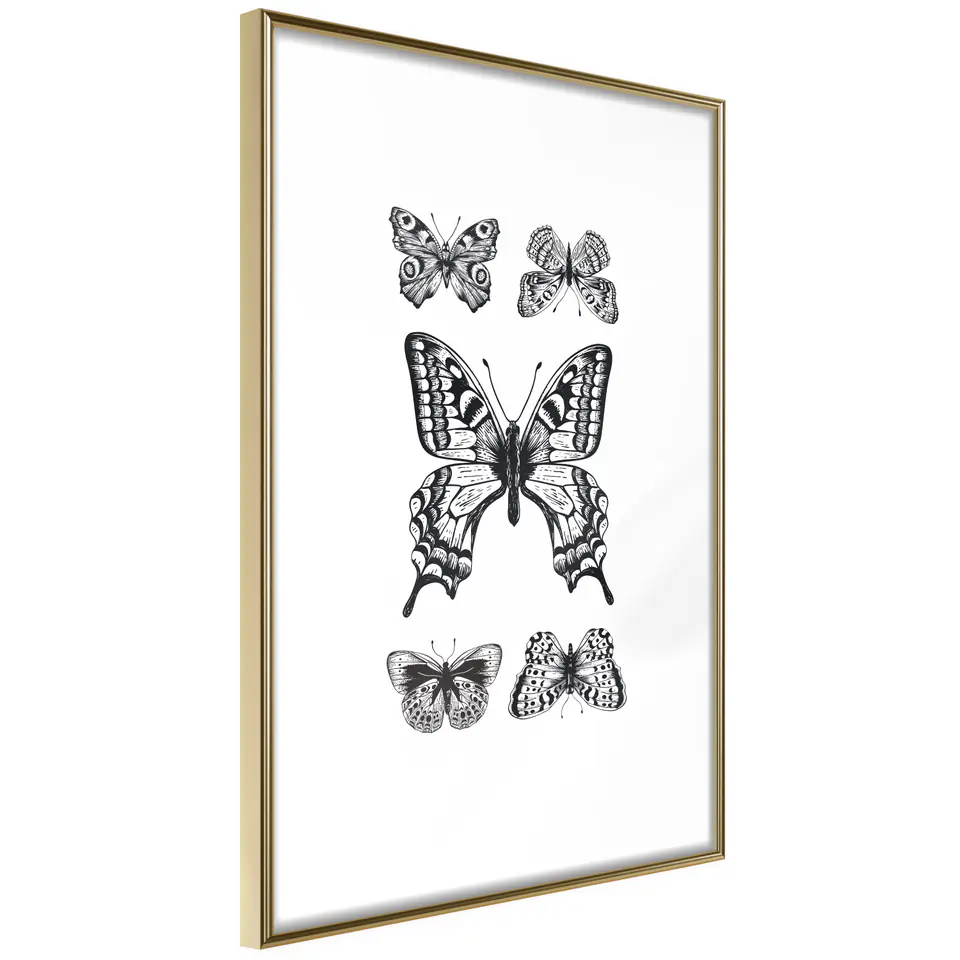 ⁨Poster - Butterfly Collection IV (size 20x30, finish Gold frame)⁩ at Wasserman.eu