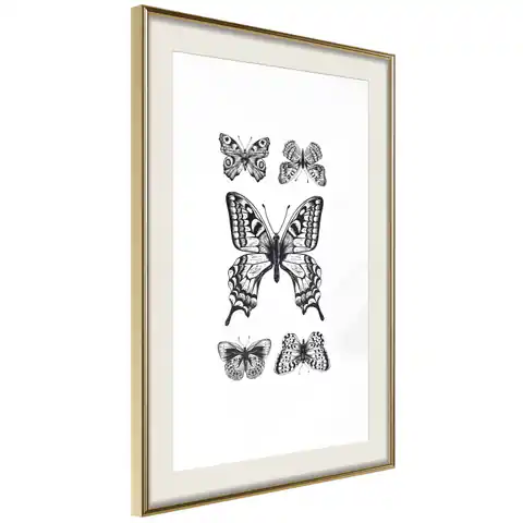 ⁨Plakat - Pięć motyli [Poster] (rozmiar 40x60, wykończenie Rama złota z passe-partout)⁩ w sklepie Wasserman.eu