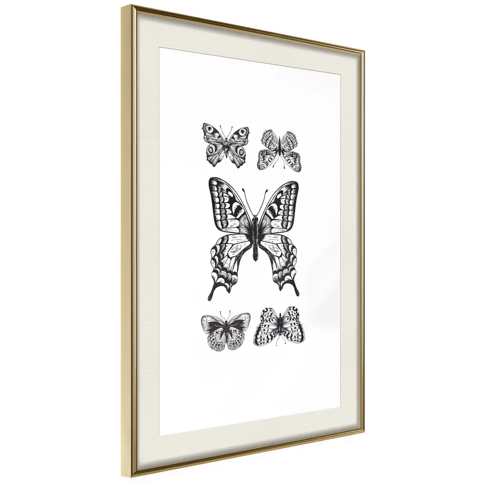 ⁨Poster - Butterfly Collection IV (size 40x60, finish Gold frame with passe-partout)⁩ at Wasserman.eu