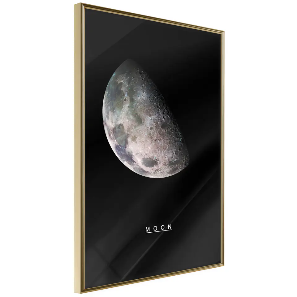 ⁨Poster - Solar System: Moon (size 20x30, finish Gold frame)⁩ at Wasserman.eu