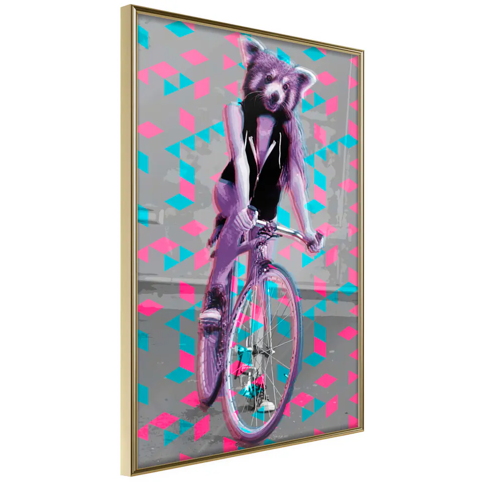 ⁨Plakat - Szop na rowerze [Poster] (rozmiar 20x30, wykończenie Rama złota)⁩ w sklepie Wasserman.eu