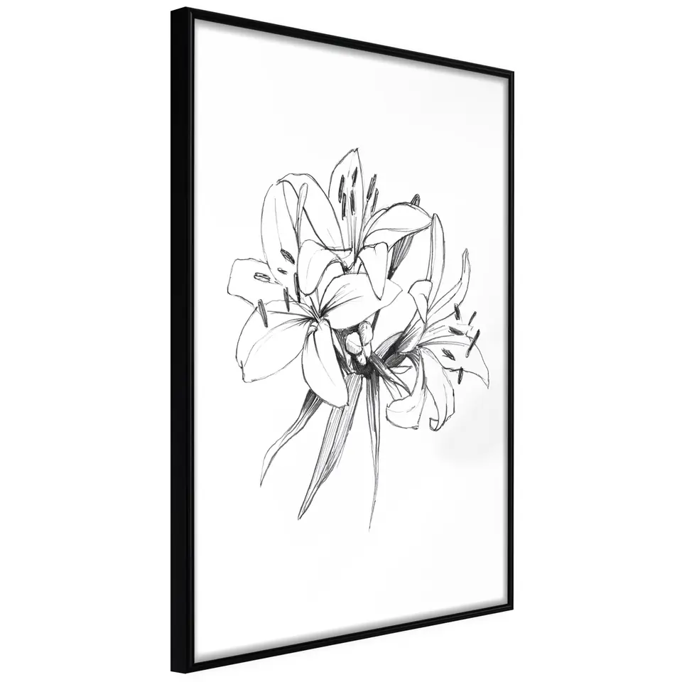 ⁨Poster - Lily sketch (size 20x30, finish Frame black)⁩ at Wasserman.eu