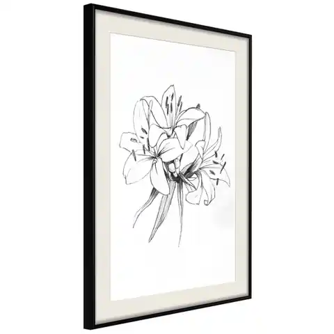 ⁨Poster - Lily sketch (size 40x60, finish Black frame with passe-partout)⁩ at Wasserman.eu